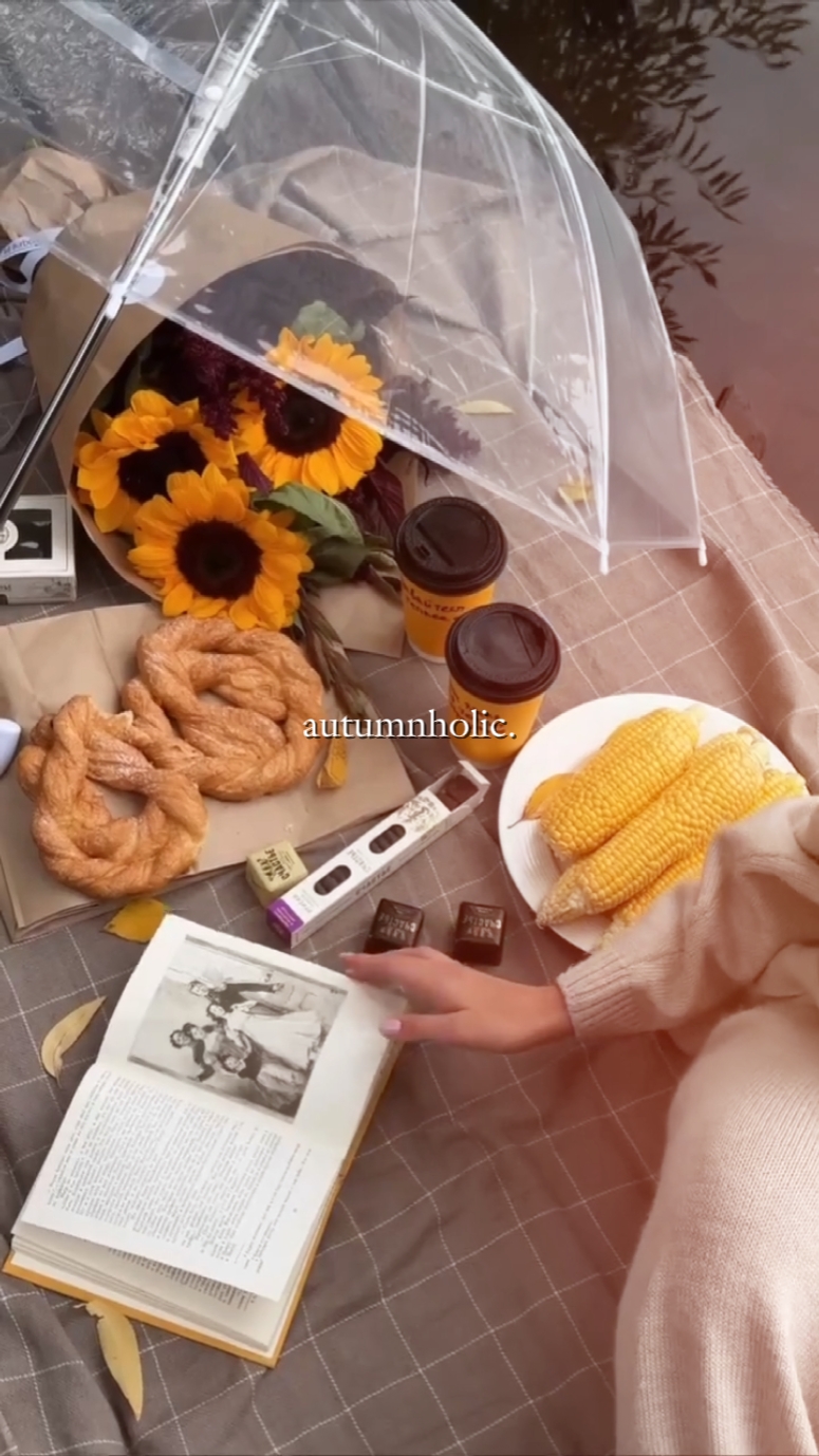 aesthetic recap