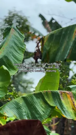 Kata kata motivasi