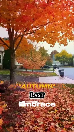 Autumn Last Embrace