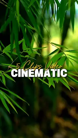 5 Clips Video