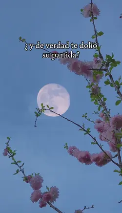 te dolió su partida