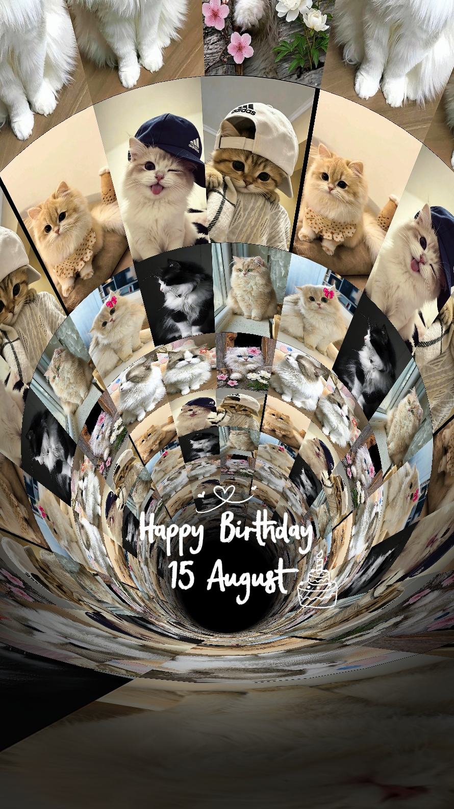 anniversaire 15 août
