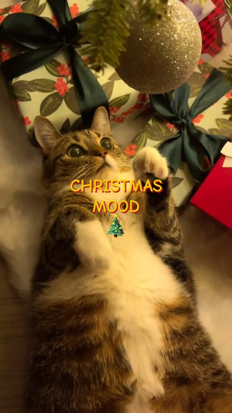 Kalagayan ng Pasko