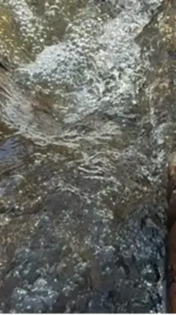 Nature Flow