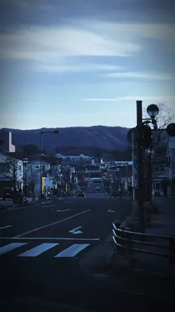 Came to Japan
