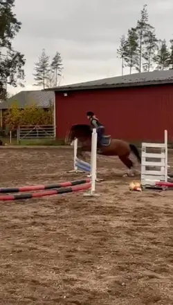 Briska tnä🫶🏻