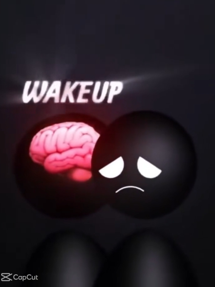 New template video