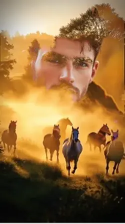 Horses