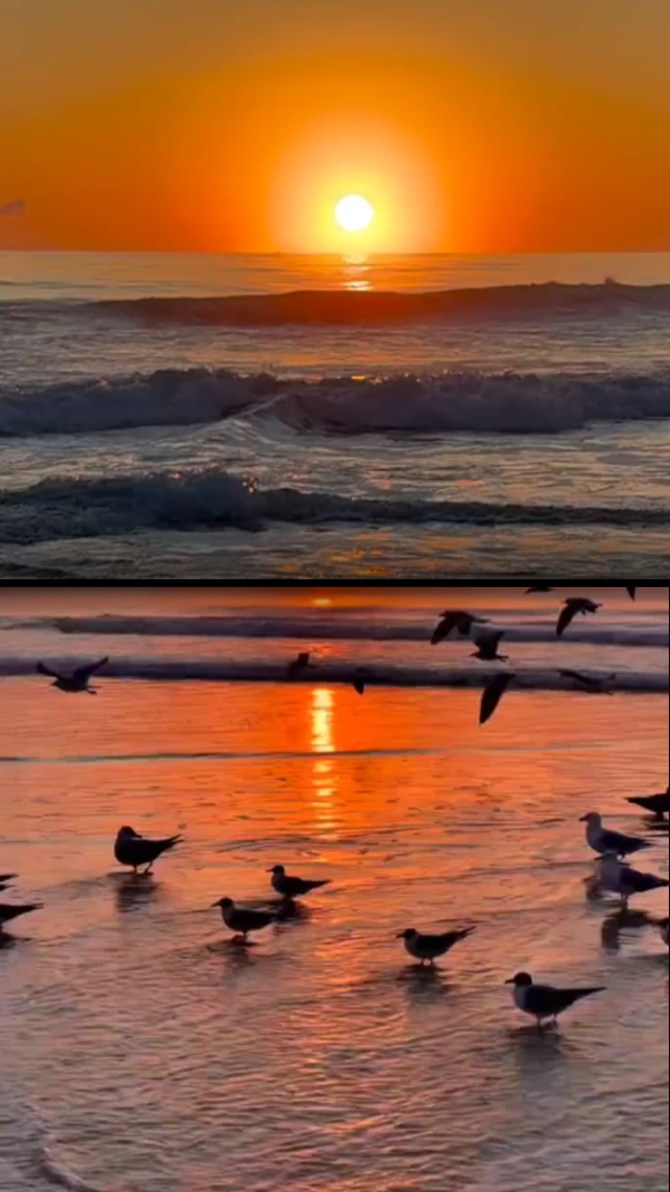  belle journée