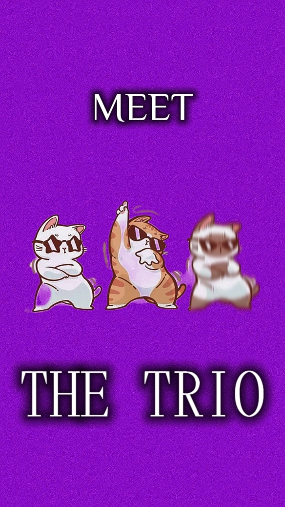 MEET THE TRIO