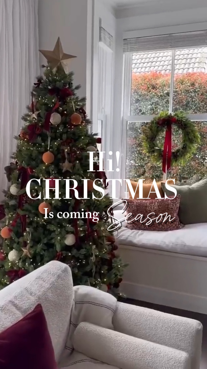 Vlog : Christmas 