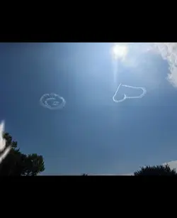 In Loving Memory 🕊️🌹 