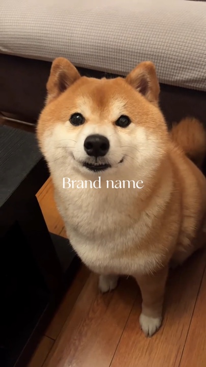 Hündchen sitzt