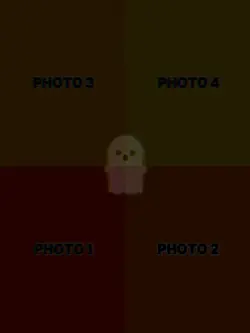 4 pic