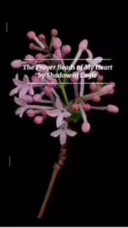 Shadow’s Poem Drop
