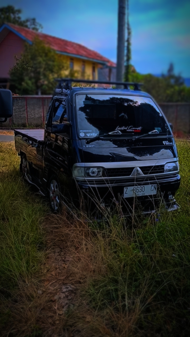 Cover Picture