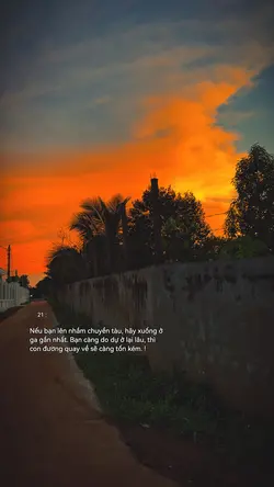 Intro kẻ say tình