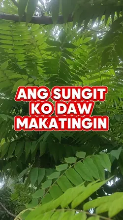 Sungit ko daw