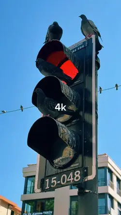 144p to 4K