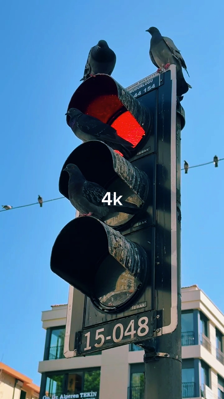 144P para 4K
