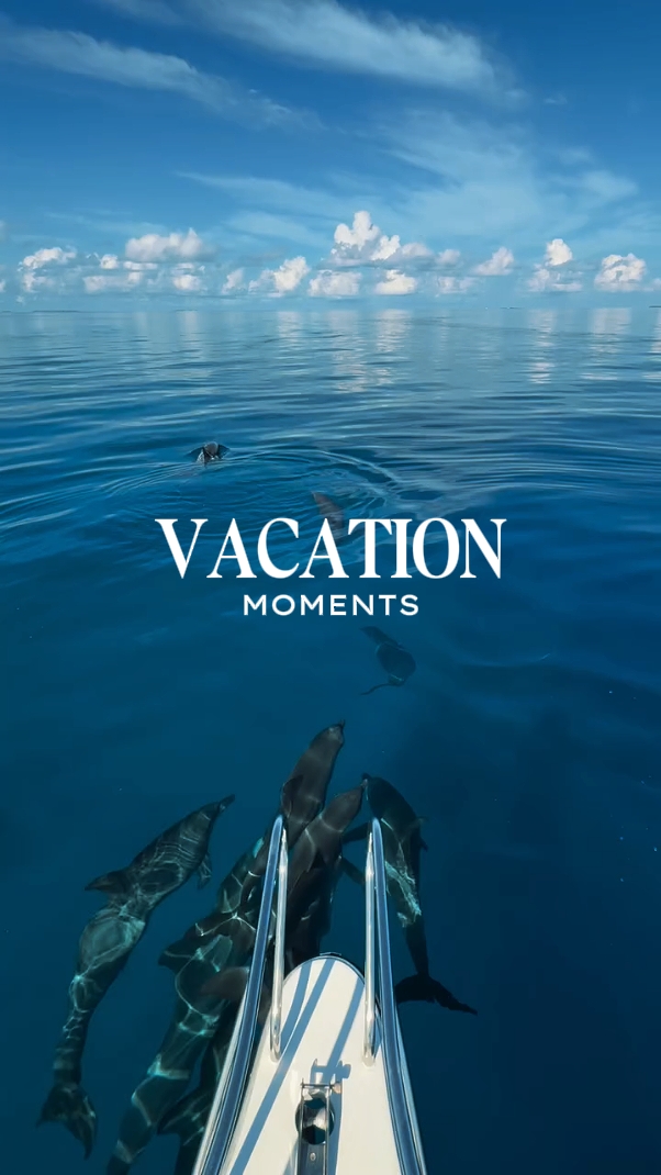 Momentos de vacaciones