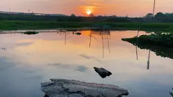 Nhạc Hoa Chill Hay