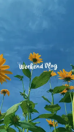 Weekend vlog 