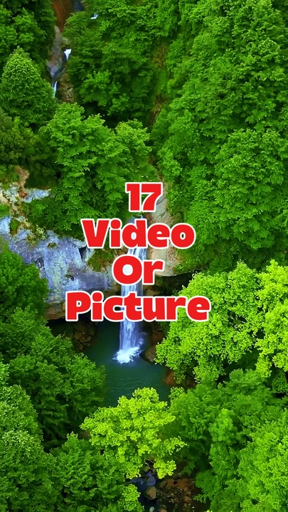 17 video or picture 