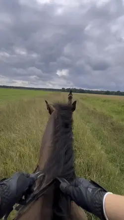 smooth 4k slowmo 🌺☀️