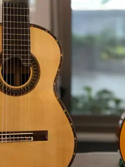 Wiroon guitar