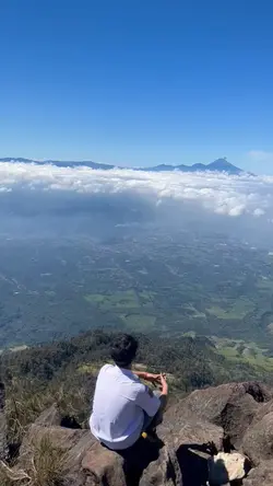 pura pura lupa