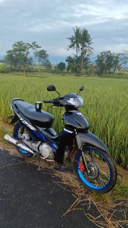 MBG