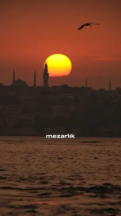 🤲🏻