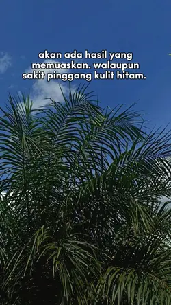 petani sawit