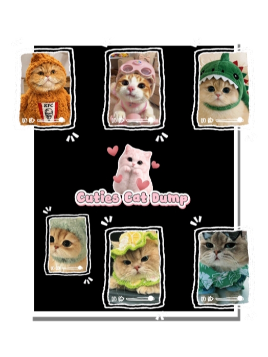 Hari Kucing Nasional