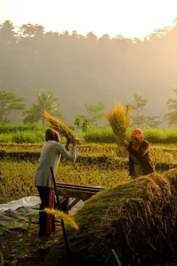 อาชีพพ่อไม่ง้อใบปริญญา