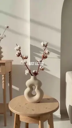 Sunlit Modern Home Promo