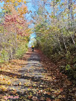 तिम्रो नामले  