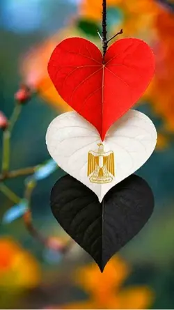 دعاء