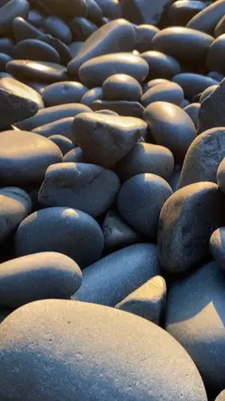 pesona gantang manuk