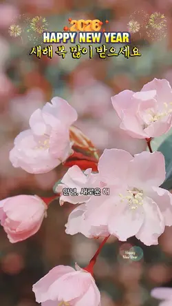안녕, 새로운 해