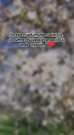 „O săptămână bună "