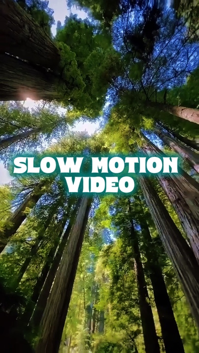 Slow motion video 