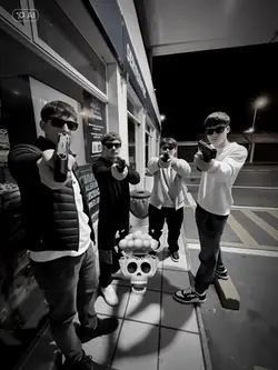 Gun
