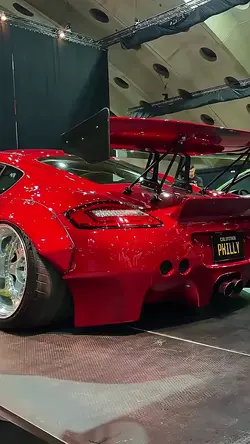 Porche Insana