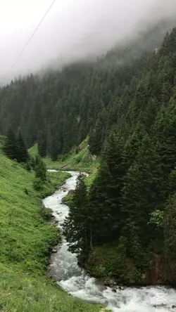 Kendinizin kıymetini