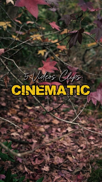 Cinematic 5 Videos 