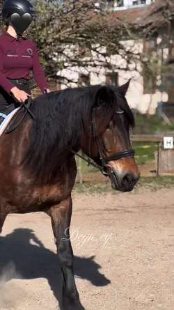 HORSES SMOOTH SLOWMO