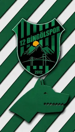 bingölspor