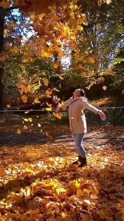 autumn